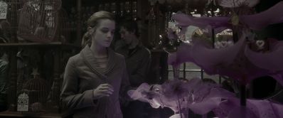 EmmaWatsonFan_dot_nl-HarryPotterAndTheHalfBloodPrince1134.jpg