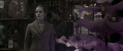 EmmaWatsonFan_dot_nl-HarryPotterAndTheHalfBloodPrince1135.jpg