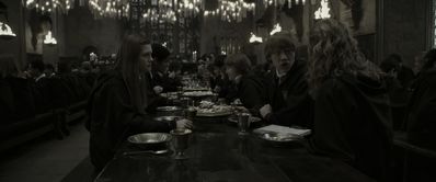 EmmaWatsonFan_dot_nl-HarryPotterAndTheHalfBloodPrince1716.jpg