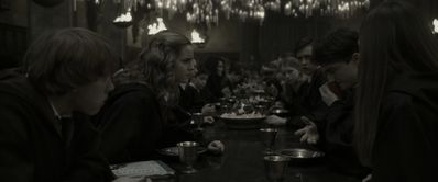 EmmaWatsonFan_dot_nl-HarryPotterAndTheHalfBloodPrince1731.jpg