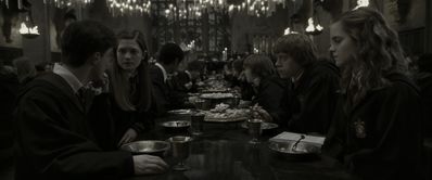 EmmaWatsonFan_dot_nl-HarryPotterAndTheHalfBloodPrince1746.jpg