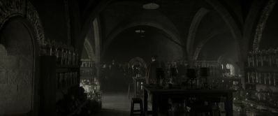 EmmaWatsonFan_dot_nl-HarryPotterAndTheHalfBloodPrince1926.jpg