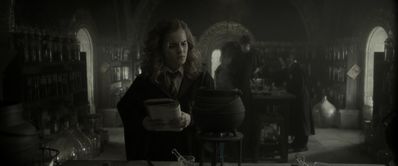 EmmaWatsonFan_dot_nl-HarryPotterAndTheHalfBloodPrince2128.jpg