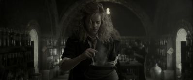 EmmaWatsonFan_dot_nl-HarryPotterAndTheHalfBloodPrince2146.jpg