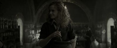 EmmaWatsonFan_dot_nl-HarryPotterAndTheHalfBloodPrince2168.jpg