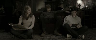 EmmaWatsonFan_dot_nl-HarryPotterAndTheHalfBloodPrince2811.jpg