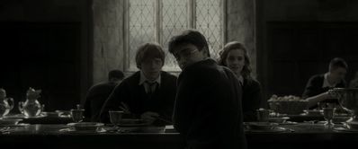 EmmaWatsonFan_dot_nl-HarryPotterAndTheHalfBloodPrince5632.jpg