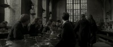 EmmaWatsonFan_dot_nl-HarryPotterAndTheHalfBloodPrince5671.jpg