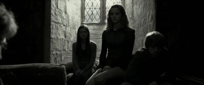 EmmaWatsonFan_dot_nl-HarryPotterAndTheHalfBloodPrince5851.jpg