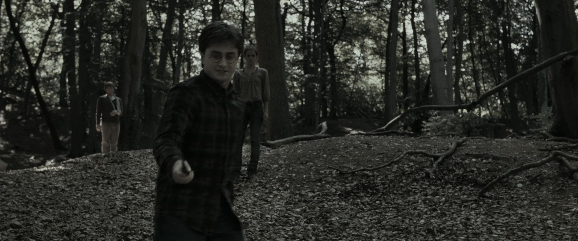 EmmaWatsonFan_dot_nl-HarryPotterAndTheDeathlyHallowsPart1-3868.jpg EmmaWatsonFan_dot_nl-HarryPotterAndTheDeathlyHallowsPart1-3868.jpg