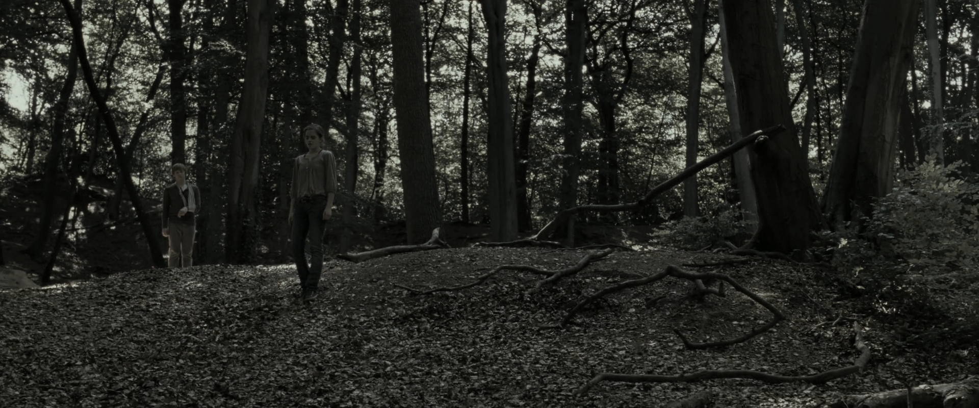 EmmaWatsonFan_dot_nl-HarryPotterAndTheDeathlyHallowsPart1-3914.jpg EmmaWatsonFan_dot_nl-HarryPotterAndTheDeathlyHallowsPart1-3914.jpg