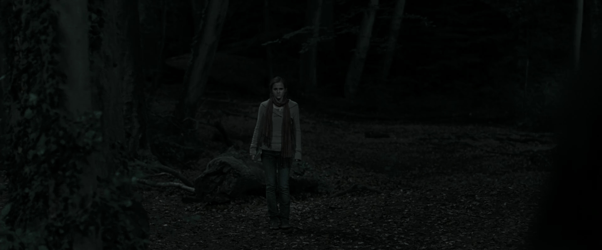 EmmaWatsonFan_dot_nl-HarryPotterAndTheDeathlyHallowsPart1-4152.jpg EmmaWatsonFan_dot_nl-HarryPotterAndTheDeathlyHallowsPart1-4152.jpg