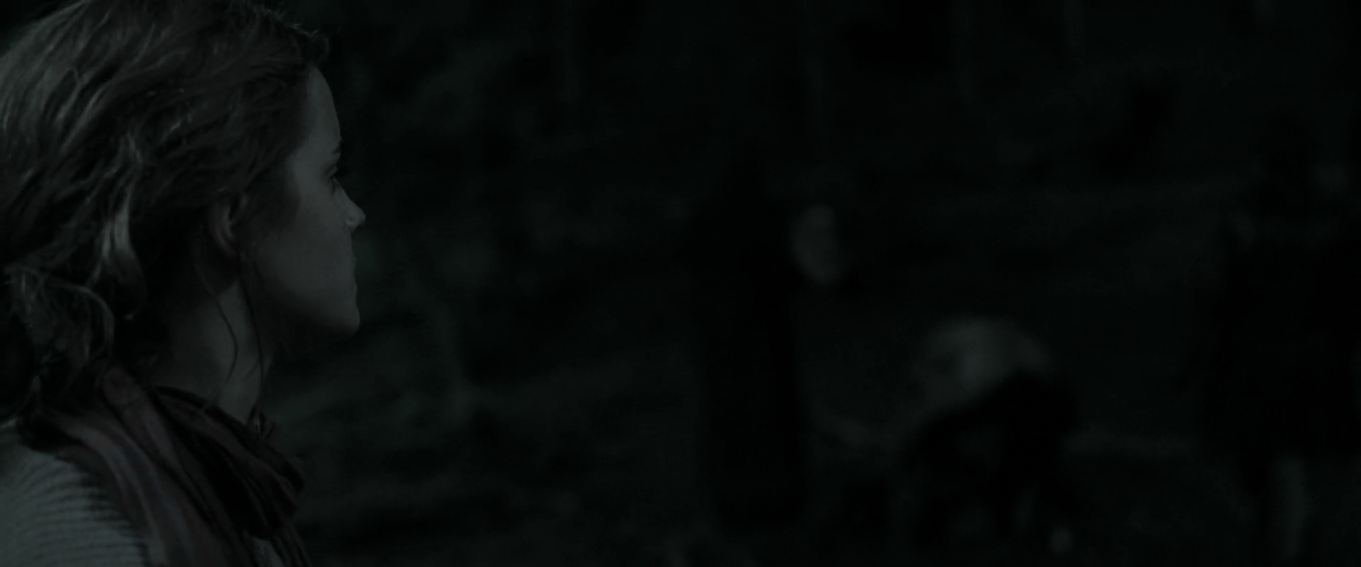 EmmaWatsonFan_dot_nl-HarryPotterAndTheDeathlyHallowsPart1-4208.jpg EmmaWatsonFan_dot_nl-HarryPotterAndTheDeathlyHallowsPart1-4208.jpg