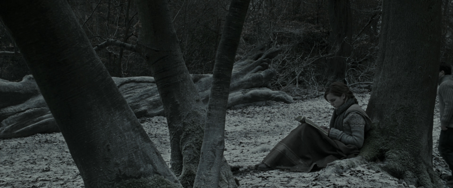EmmaWatsonFan_dot_nl-HarryPotterAndTheDeathlyHallowsPart1-5408.jpg