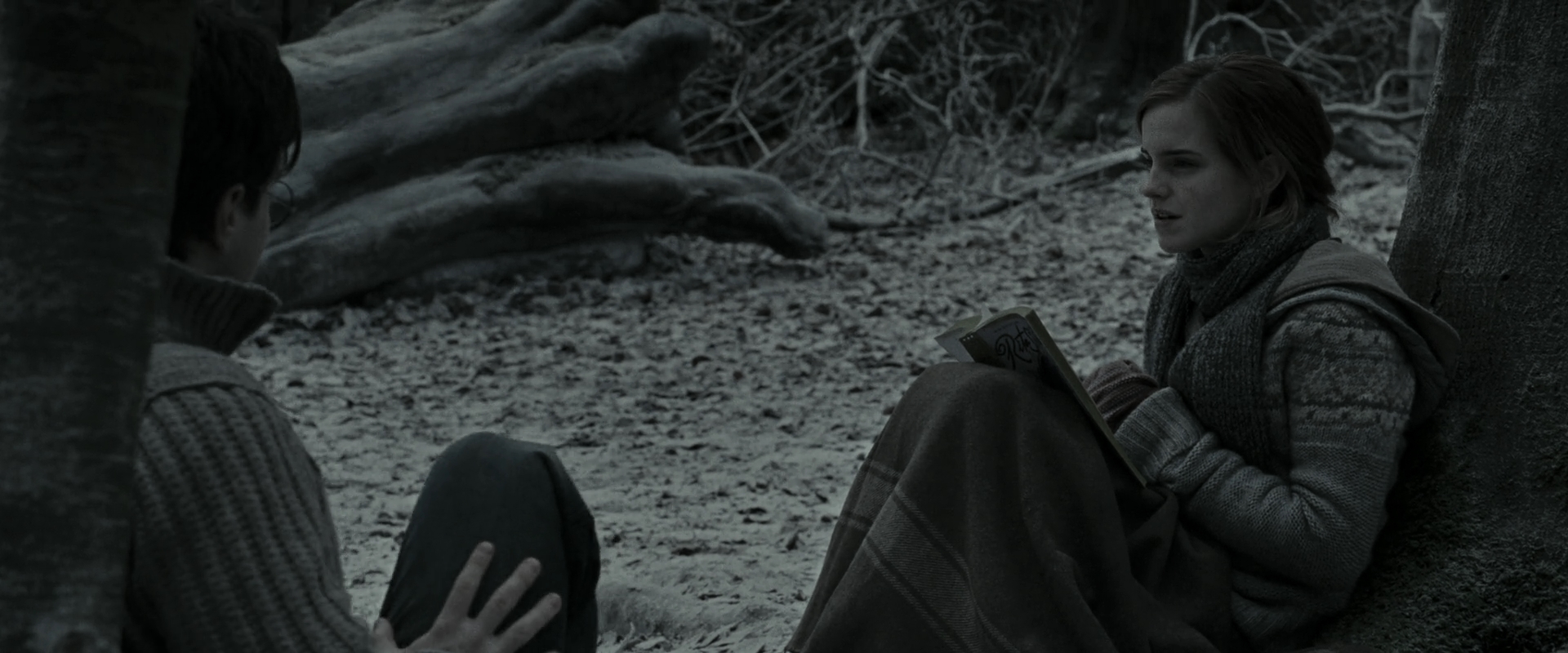 EmmaWatsonFan_dot_nl-HarryPotterAndTheDeathlyHallowsPart1-5429.jpg