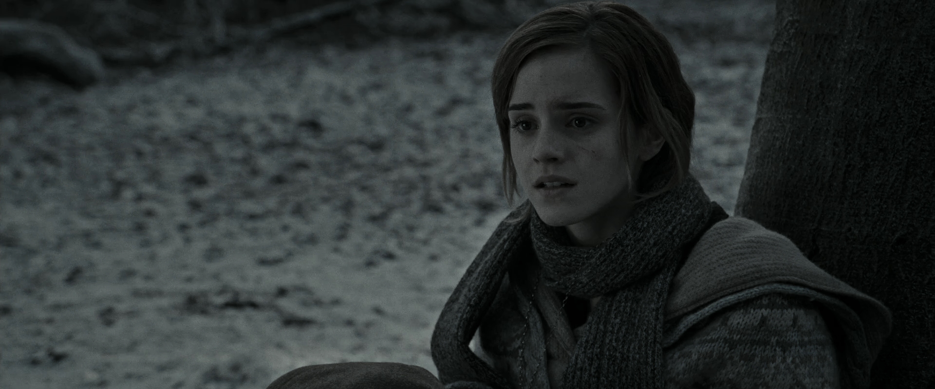 EmmaWatsonFan_dot_nl-HarryPotterAndTheDeathlyHallowsPart1-5492.jpg