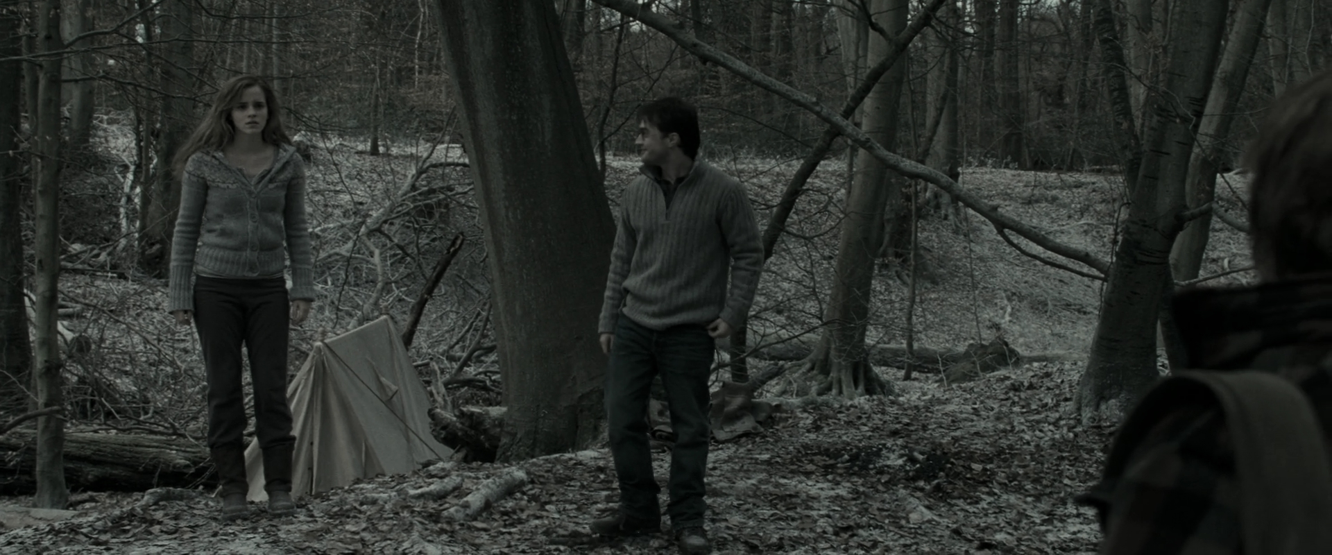 EmmaWatsonFan_dot_nl-HarryPotterAndTheDeathlyHallowsPart1-5986.jpg EmmaWatsonFan_dot_nl-HarryPotterAndTheDeathlyHallowsPart1-5986.jpg