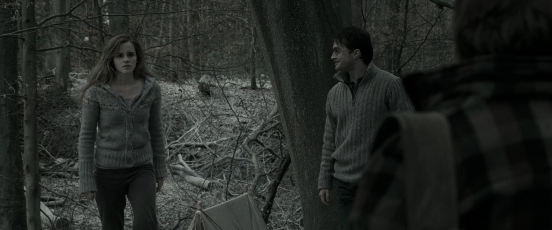 EmmaWatsonFan_dot_nl-HarryPotterAndTheDeathlyHallowsPart1-5991.jpg EmmaWatsonFan_dot_nl-HarryPotterAndTheDeathlyHallowsPart1-5991.jpg