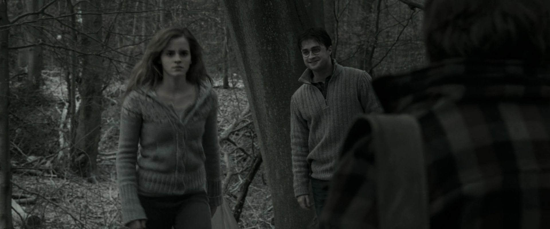 EmmaWatsonFan_dot_nl-HarryPotterAndTheDeathlyHallowsPart1-5992.jpg