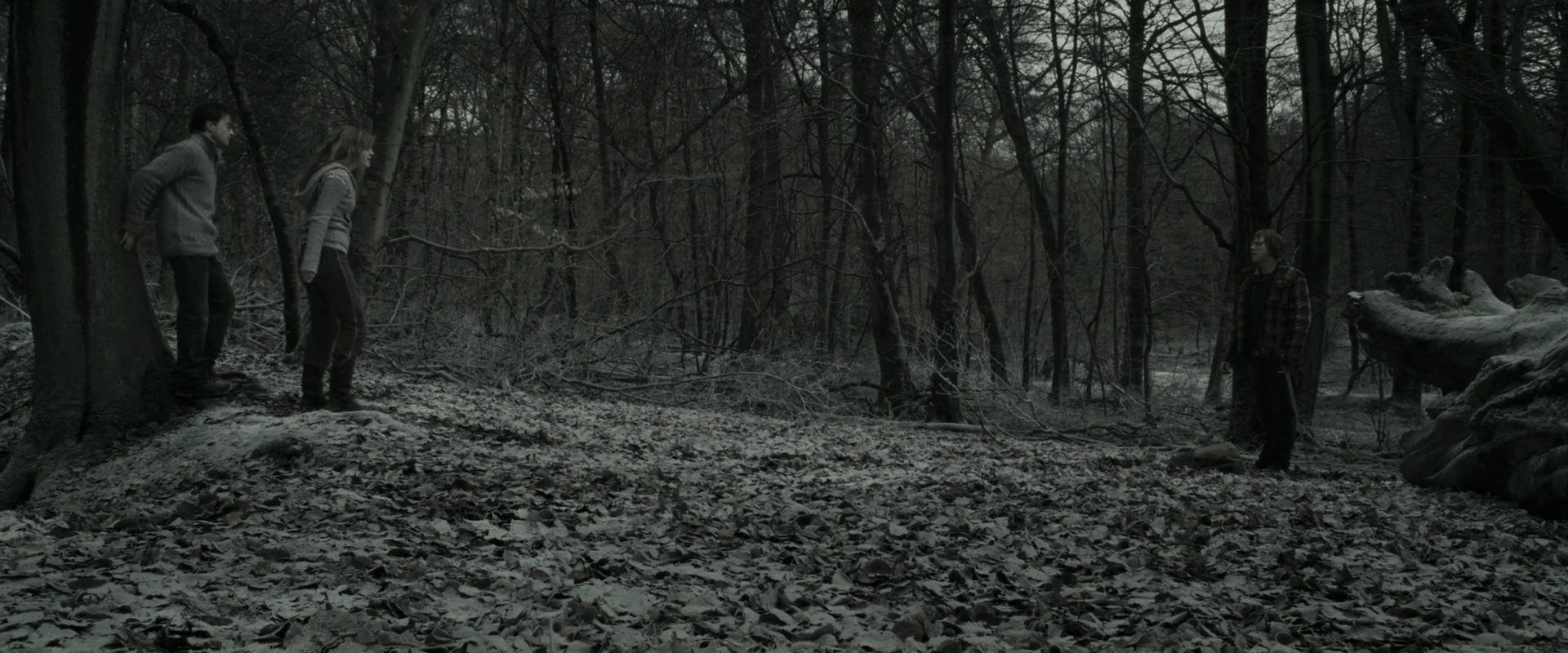 EmmaWatsonFan_dot_nl-HarryPotterAndTheDeathlyHallowsPart1-6012.jpg EmmaWatsonFan_dot_nl-HarryPotterAndTheDeathlyHallowsPart1-6012.jpg