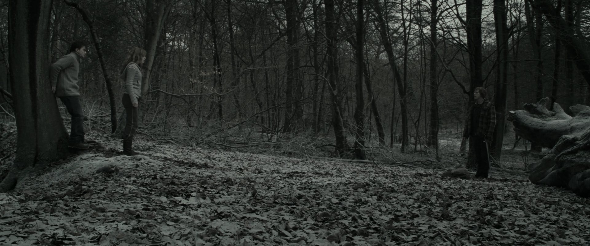 EmmaWatsonFan_dot_nl-HarryPotterAndTheDeathlyHallowsPart1-6014.jpg EmmaWatsonFan_dot_nl-HarryPotterAndTheDeathlyHallowsPart1-6014.jpg