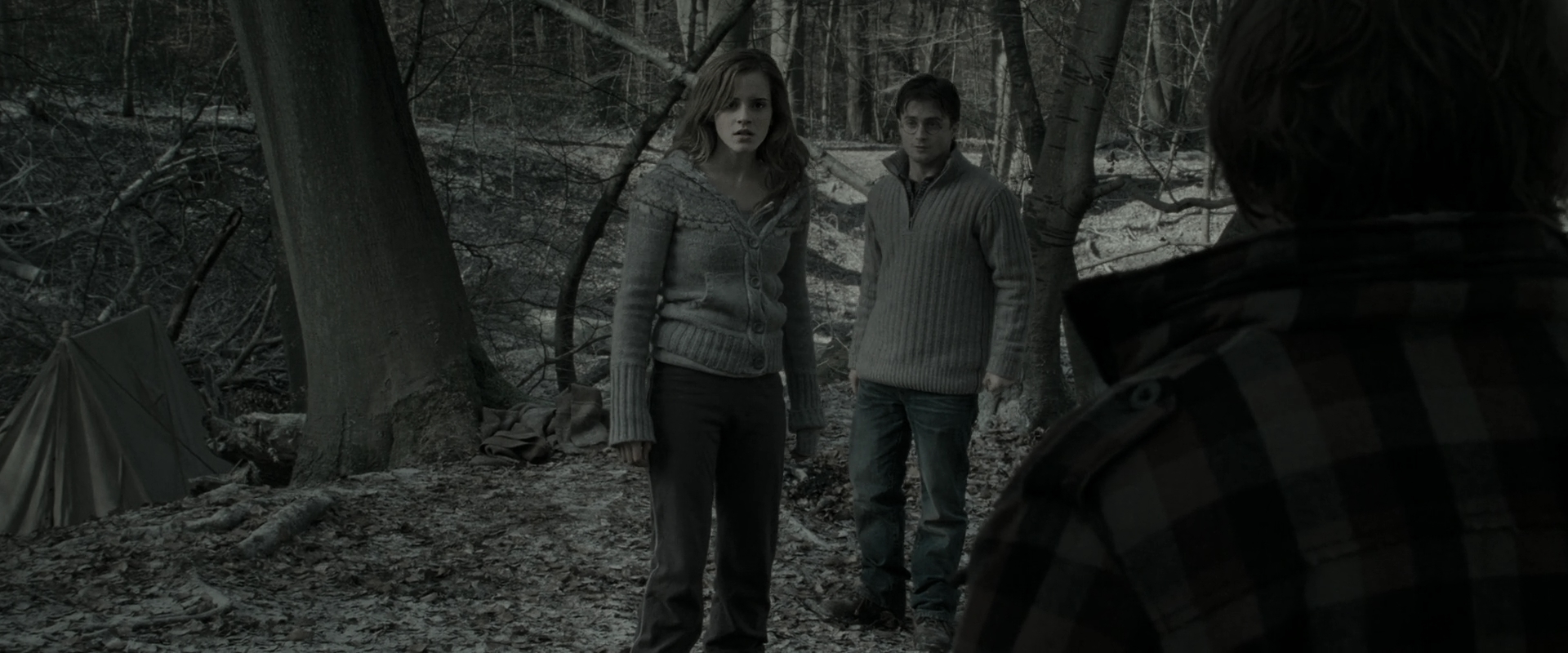 EmmaWatsonFan_dot_nl-HarryPotterAndTheDeathlyHallowsPart1-6028.jpg EmmaWatsonFan_dot_nl-HarryPotterAndTheDeathlyHallowsPart1-6028.jpg