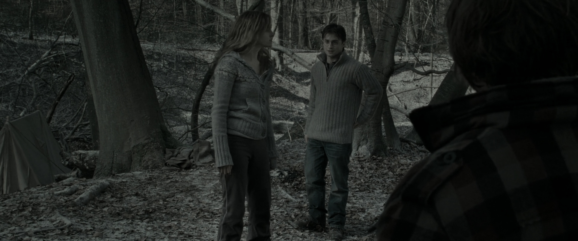 EmmaWatsonFan_dot_nl-HarryPotterAndTheDeathlyHallowsPart1-6031.jpg EmmaWatsonFan_dot_nl-HarryPotterAndTheDeathlyHallowsPart1-6031.jpg