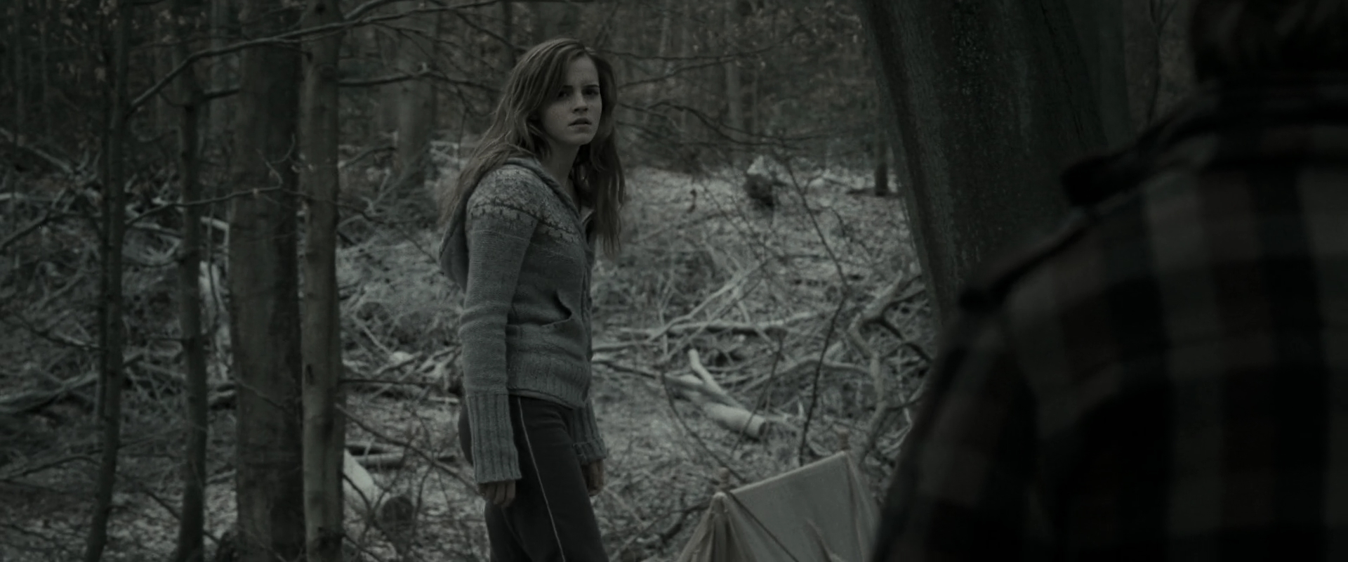 EmmaWatsonFan_dot_nl-HarryPotterAndTheDeathlyHallowsPart1-6041.jpg