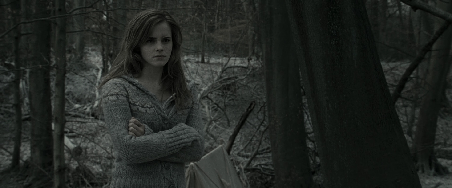 EmmaWatsonFan_dot_nl-HarryPotterAndTheDeathlyHallowsPart1-6069.jpg EmmaWatsonFan_dot_nl-HarryPotterAndTheDeathlyHallowsPart1-6069.jpg