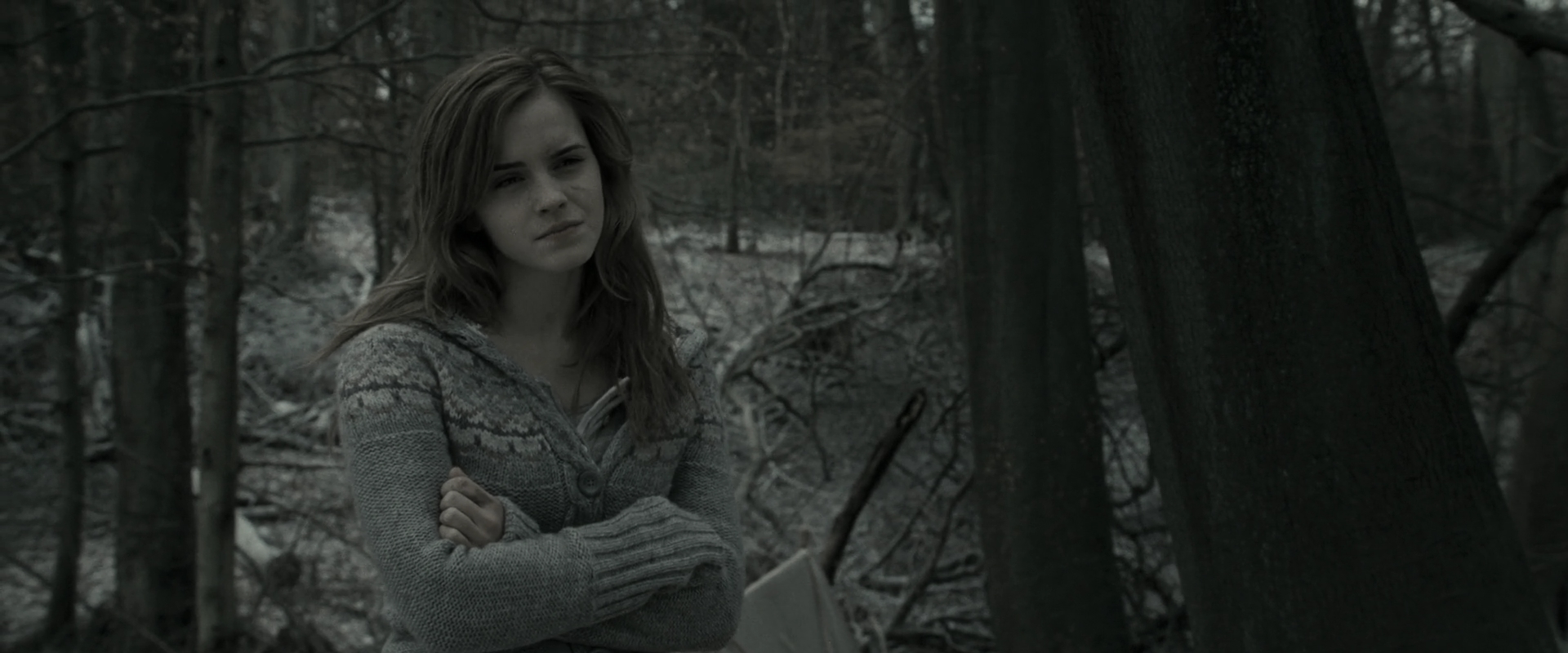 EmmaWatsonFan_dot_nl-HarryPotterAndTheDeathlyHallowsPart1-6074.jpg EmmaWatsonFan_dot_nl-HarryPotterAndTheDeathlyHallowsPart1-6074.jpg