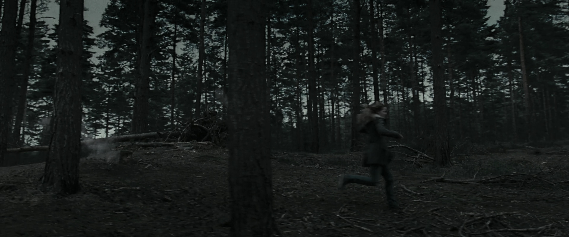 EmmaWatsonFan_dot_nl-HarryPotterAndTheDeathlyHallowsPart1-6874.jpg EmmaWatsonFan_dot_nl-HarryPotterAndTheDeathlyHallowsPart1-6874.jpg