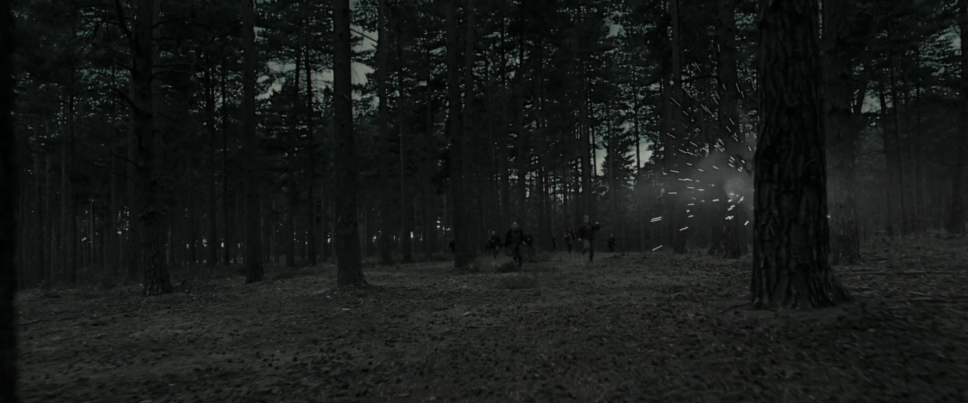 EmmaWatsonFan_dot_nl-HarryPotterAndTheDeathlyHallowsPart1-6879.jpg EmmaWatsonFan_dot_nl-HarryPotterAndTheDeathlyHallowsPart1-6879.jpg