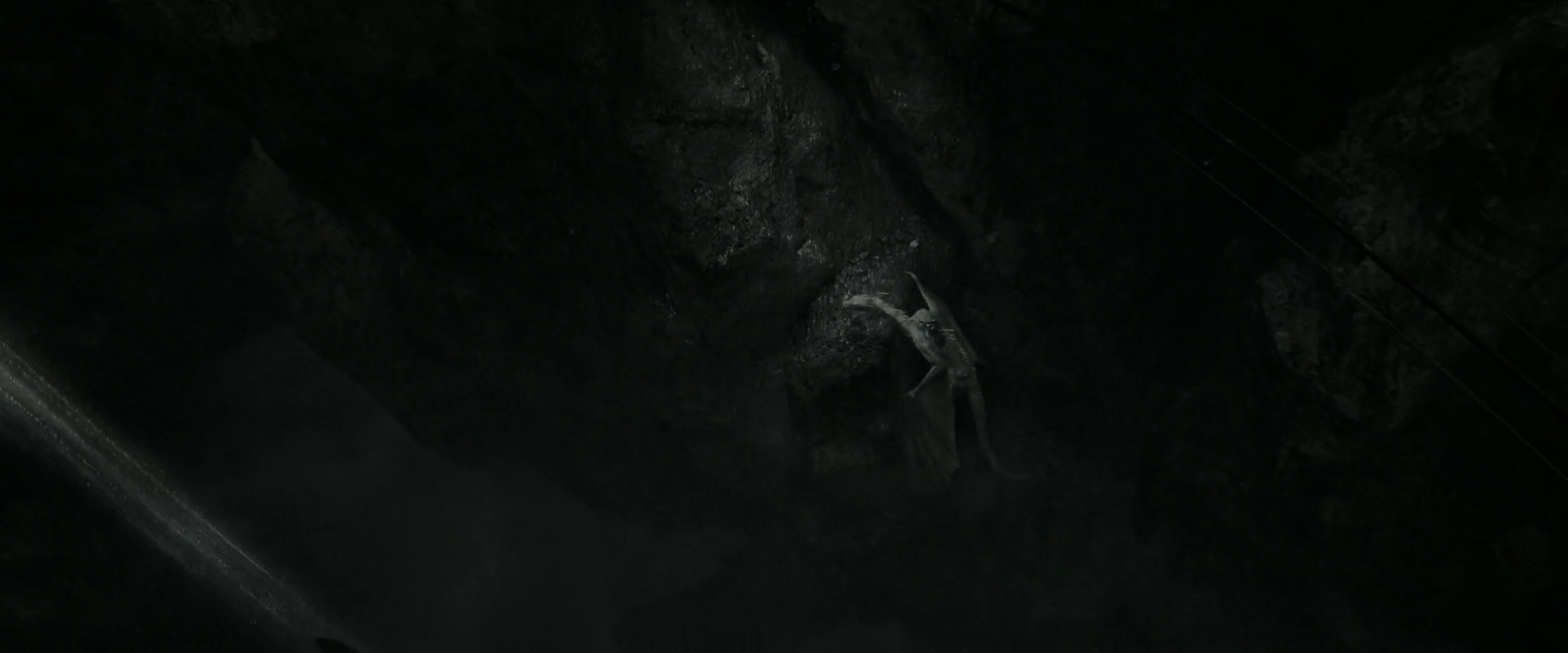 EmmaWatsonFan_dot_nl-HarryPotterAndTheDeathlyHallowsPart2-1207.jpg EmmaWatsonFan_dot_nl-HarryPotterAndTheDeathlyHallowsPart2-1207.jpg