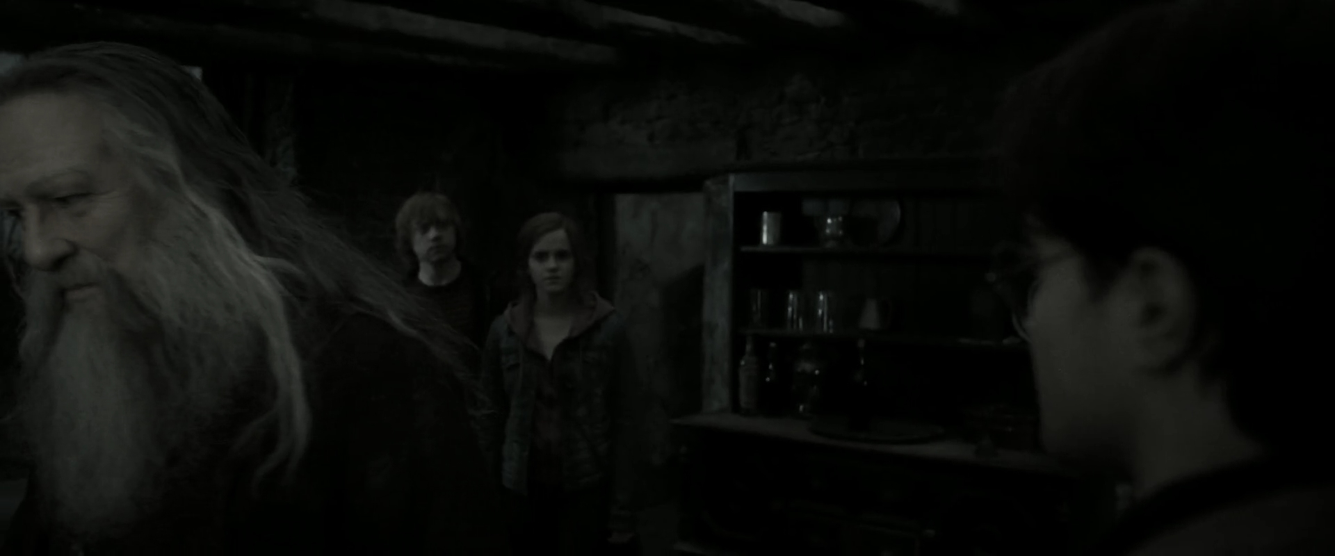 EmmaWatsonFan_dot_nl-HarryPotterAndTheDeathlyHallowsPart2-1750.jpg
