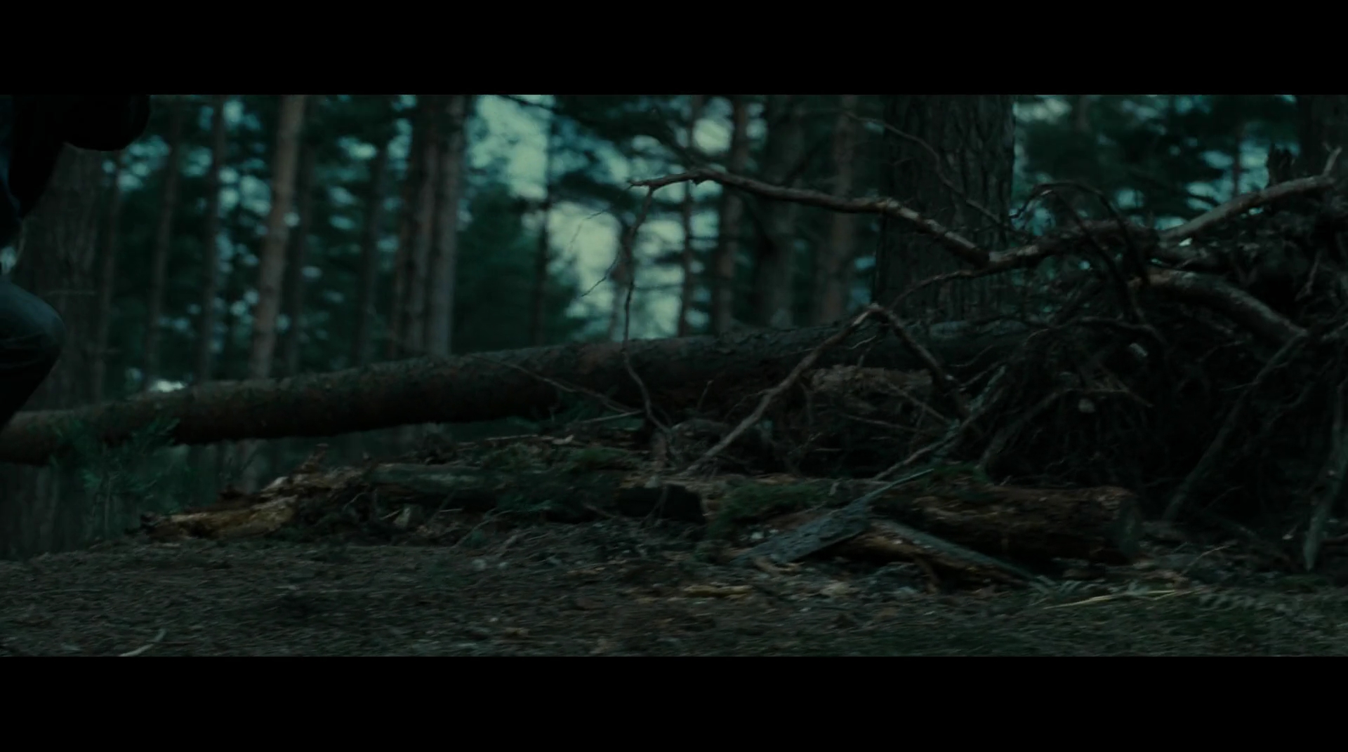 EmmaWatsonFan-dot-nl_HarryPotter-ReturnToHogwarts5030.jpg EmmaWatsonFan-dot-nl_HarryPotter-ReturnToHogwarts5030.jpg